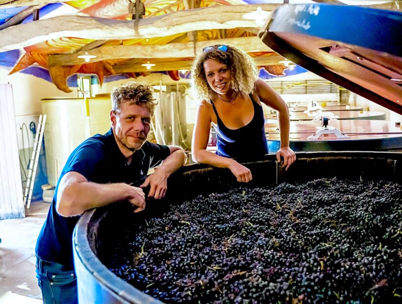 クール便着払　自然派ワイン4本セット② クール便着払 自然派ワイン4本セット